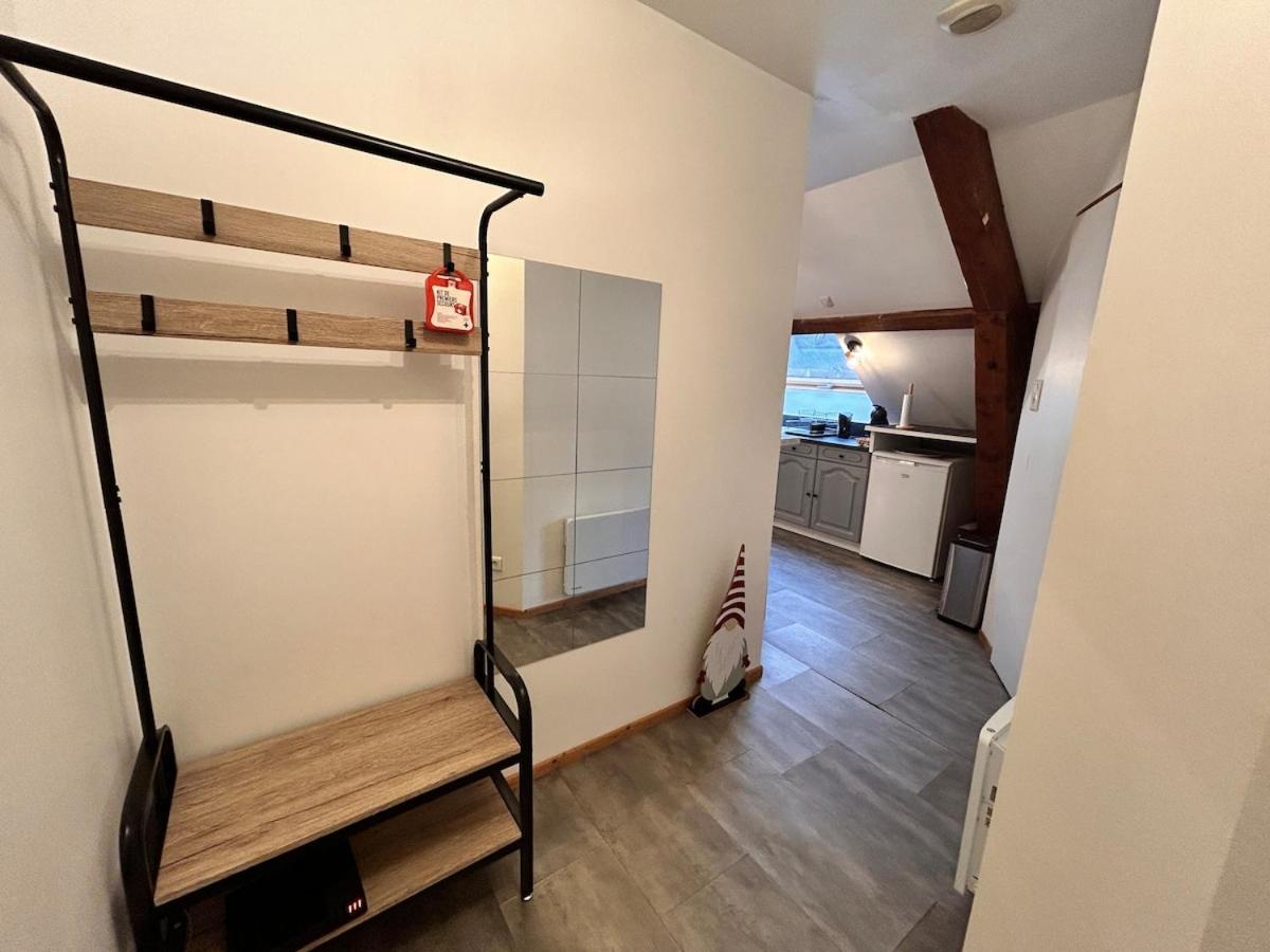 Superbe Studio A Proximite Du Centre-Ville Saint-Die-des-Vosges Ngoại thất bức ảnh