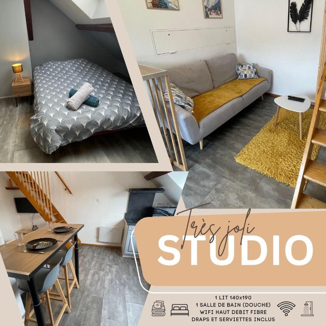 Superbe Studio A Proximite Du Centre-Ville Saint-Die-des-Vosges Ngoại thất bức ảnh