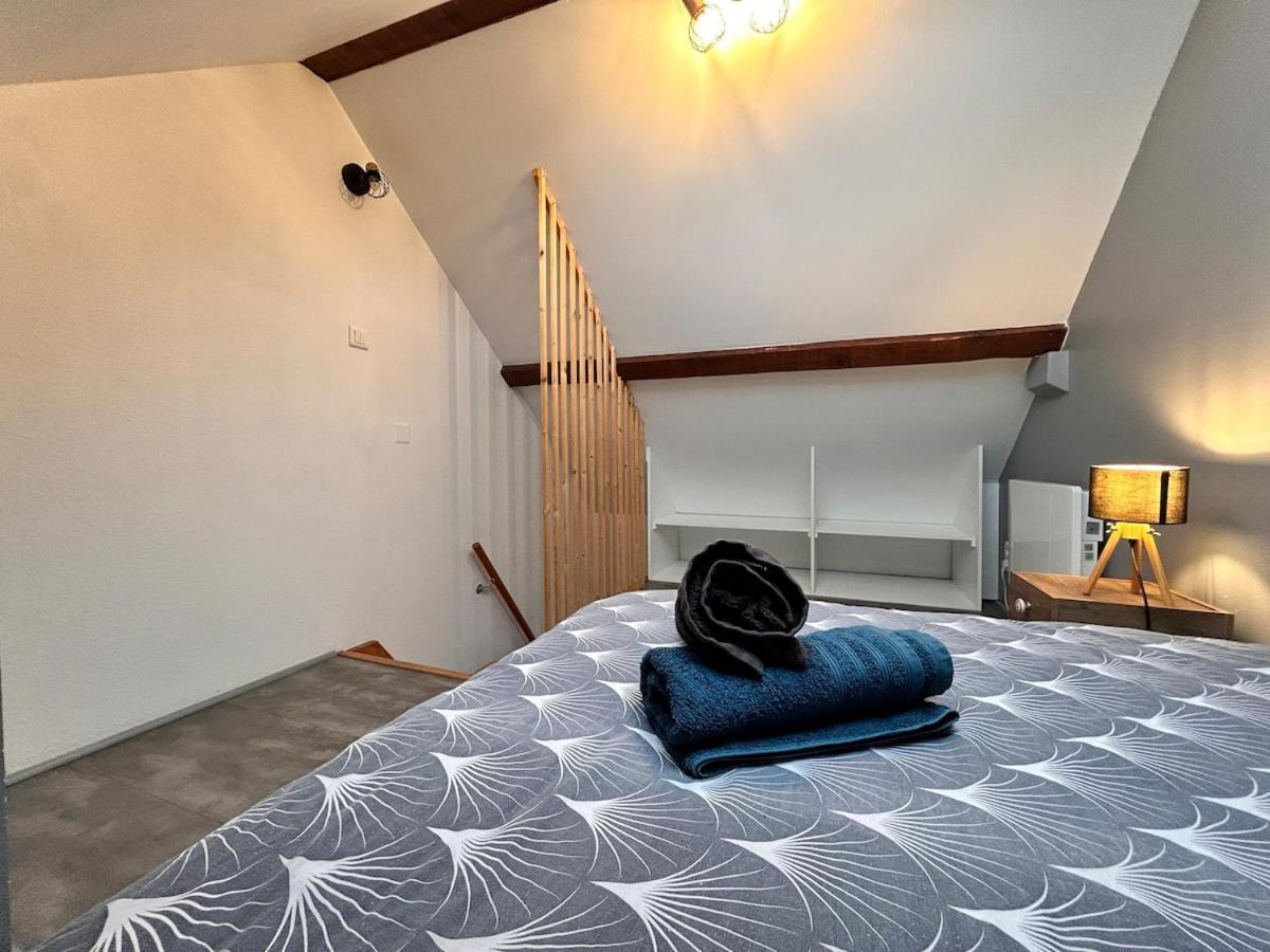 Superbe Studio A Proximite Du Centre-Ville Saint-Die-des-Vosges Ngoại thất bức ảnh